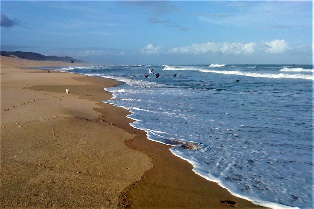 Panorama Guest House Port Alfred Dış mekan fotoğraf